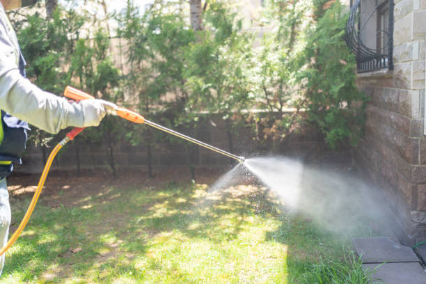 Best Fumigation Services  in Woodlawn, VA